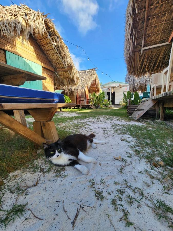 Saona Lodge Mano Juan Buitenkant foto